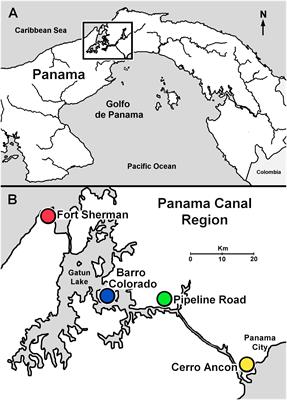 Environmental and Host Effects on Skin Bacterial Community Composition in Panamanian Frogs